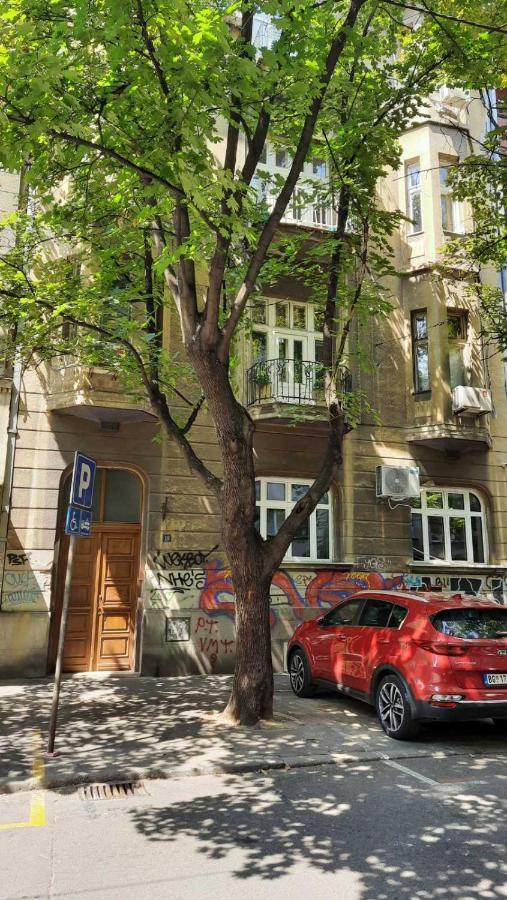 Duplex Studio Mansarda Daire Belgrad Dış mekan fotoğraf