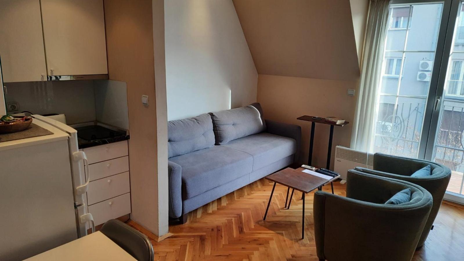 Duplex Studio Mansarda Daire Belgrad Dış mekan fotoğraf